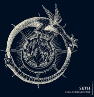 Les Blessures De L'Ame