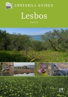 Lesbos - Boek Alex Tabak (949164808X)