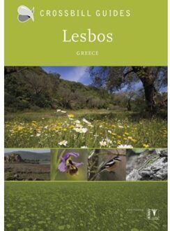 Lesbos - Boek Alex Tabak (949164808X)