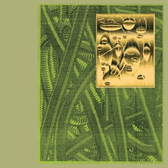 Less Is Endless - De Beren Gieren