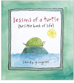 Lessons of a Turtle