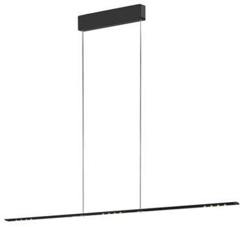 Let D 100 Standard Hanglamp - Zwart