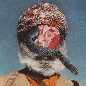 Let The Beast Out - River Into Lake