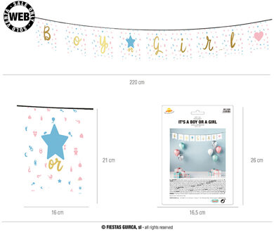 Letterslinger 'Boy or Girl' Babyshower (220cm) Multikleur - Print