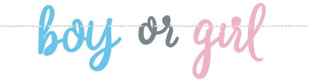 Letterslinger Gender Reveal 'Boy or Girl' (213cm) Multikleur - Print