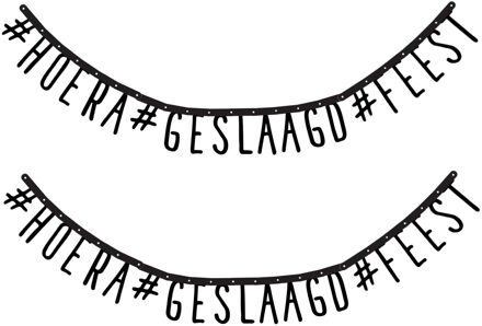 Letterslinger geslaagd - 2x - 170 cm - karton - slinger - versiering thema