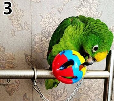 Leuke Huisdier Vogel Plastic Chew Ball Chain Kooi Speelgoed voor Papegaai Valkparkiet Parkiet Papegaai Speelgoed Vogel Hollow Bell Bal 3
