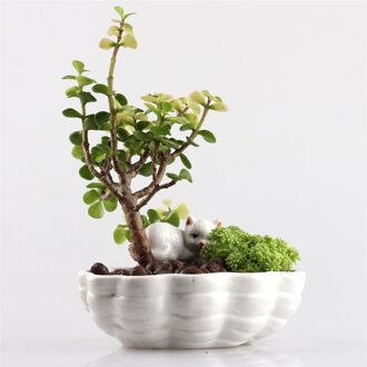 Leuke Katten Kitten Keramische Bloempot Bonsai Aardewerk Plantenbakken Bloembakken Tuin Porselein Jardin Succulent Decor Macetas