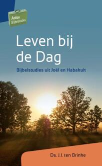 Leven bij de dag - Boek J.J. ten Brinke (9088971951)