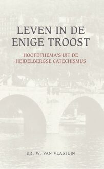 Leven in de enige troost - eBook W. van Vlastuin (9462780641)