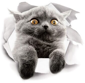 Levendige 3D Katten Dier Wc Stickers Mooie Muurtattoo Home Decor Art Diy Wasruimte Pvc Posters Cartoon Wall Art decals 07