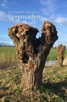 Levensadem -  Jan Hendrik Woudstra (ISBN: 9789403733319)