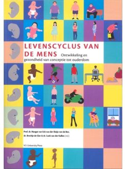Levenscyclus Van De Mens