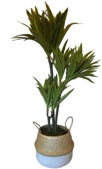 Levensechte Kunst Dracaena Lemon Lime 120 cm met pot- Kunst dracena - Kunstplanten Groen