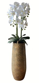 Levensechte Kunst Orchidee / Phalaenopsis plant 75 cm met pot - Witte kunst orchidee - Kunstplanten