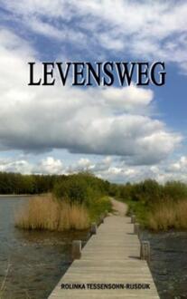 Levensweg - Boek R. Tessensohn - Rijsdijk (9081398474)