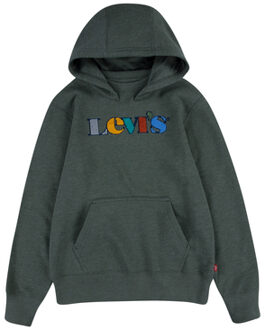 Levi's Levi's® Kids Hoodie donkergroen - 104