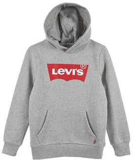 Levi's® Kids Jongens Hoodie Lichtgrijs