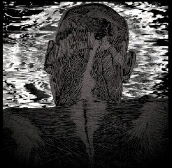 Levitas Asher - Lit Harness