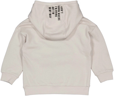 Levv jongens hoodie Licht grijs - 122