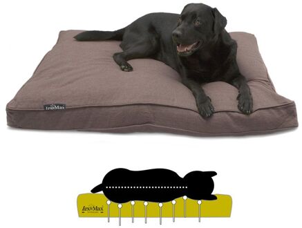 Lex max Maxima - Orthopedisch Benchkussen - Bruin - 17x120x80 cm