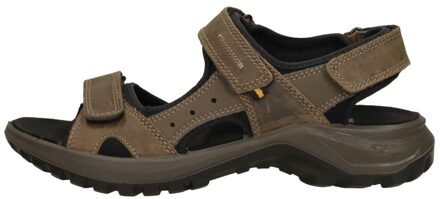 Lexa Donkerbruin - 40