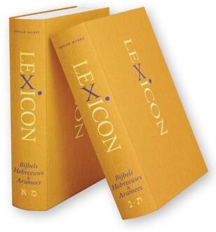 Lexicon Bijbels Hebreeuws & Aramees (2-delig) -  Johan Murre (ISBN: 9789493220560)