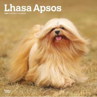 Lhasa Apsos 2025 Square Wrap