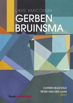 Liber Amicorum Gerben Bruinsma - eBook Boom uitgevers Den Haag (9462747202)