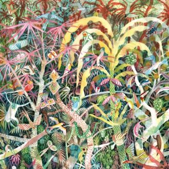 Lichen - Dijf Sanders