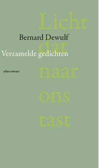 Licht dat naar ons tast - Bernard Dewulf - ebook