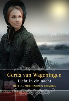 Licht in de nacht - eBook Gerda van Wageningen (9059778847)