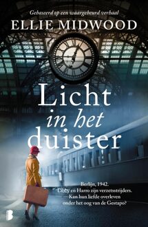 Licht in het duister - Ellie Midwood - ebook