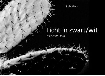 Licht In Zwart/Wit