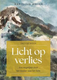 Licht op verlies -  Marjolijn Meijer (ISBN: 9789461266637)