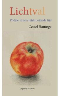 Lichtval - Boek Ceciel Hattinga (9078094737)