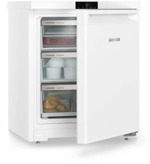 Liebherr Fe 1003-20 Tafelmodel vriezer Wit