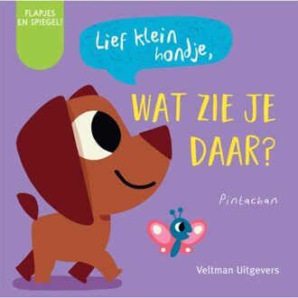 Lief Klein Hondje, Wat Zie Je Daar? - Pintachan