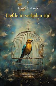 Liefde in verleden tijd -  Harry Turksma (ISBN: 9789463655866)