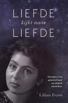 Liefde kijkt naar liefde - Boek Lilian Ferru (9492247577)