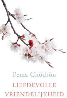 Liefdevolle vriendelijkheid - Boek Pema Chödrön (9025904130)