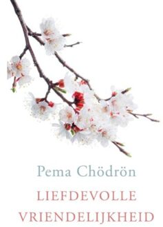Liefdevolle vriendelijkheid - Boek Pema Chödrön (9025904130)