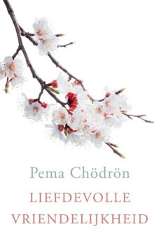 Liefdevolle vriendelijkheid - eBook Pema Chödrön (9025904149)