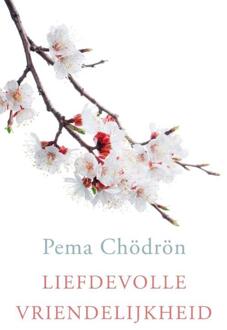 Liefdevolle vriendelijkheid - eBook Pema Chödrön (9025904149)