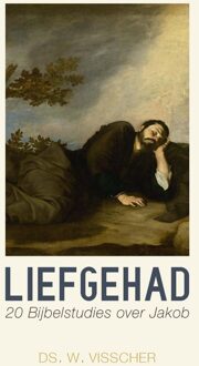 Liefgehad - eBook W. Visscher (9402903410)