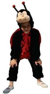 Lieveheersbeestje pakje kind pluche