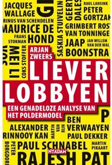 Liever lobbyen - Boek Arjan Zweers (9046807819)