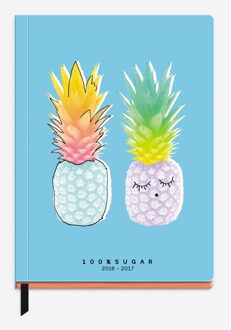 Life Agenda awesome pocket 2016/2017: pi