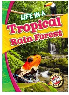 Life in a Tropical Rain Forest