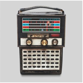 Life In The Wires - Frost*